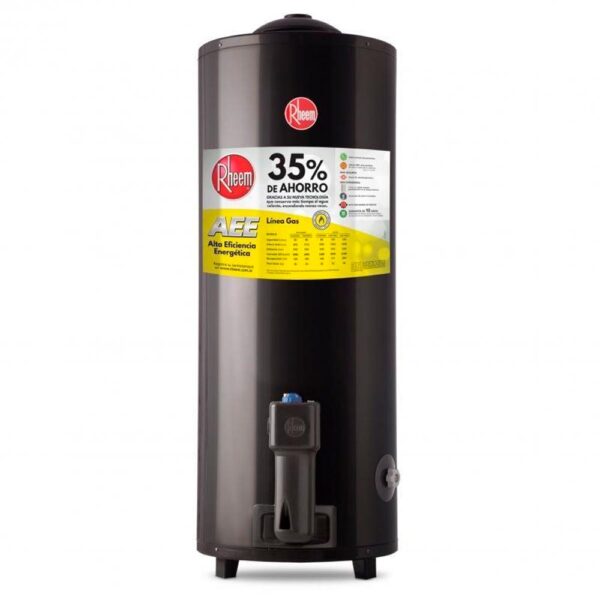 TERMOTANQUE RHEEM 80 LITROS TGNP080RH
